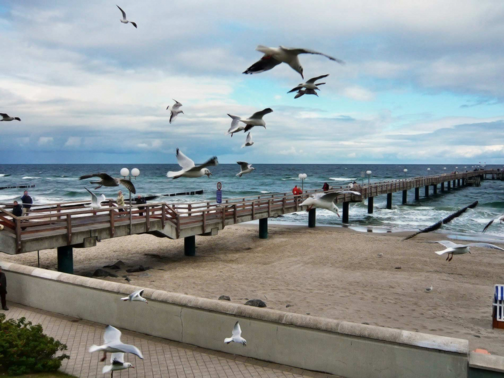 316181 Original R K B By Huber Pixeliode